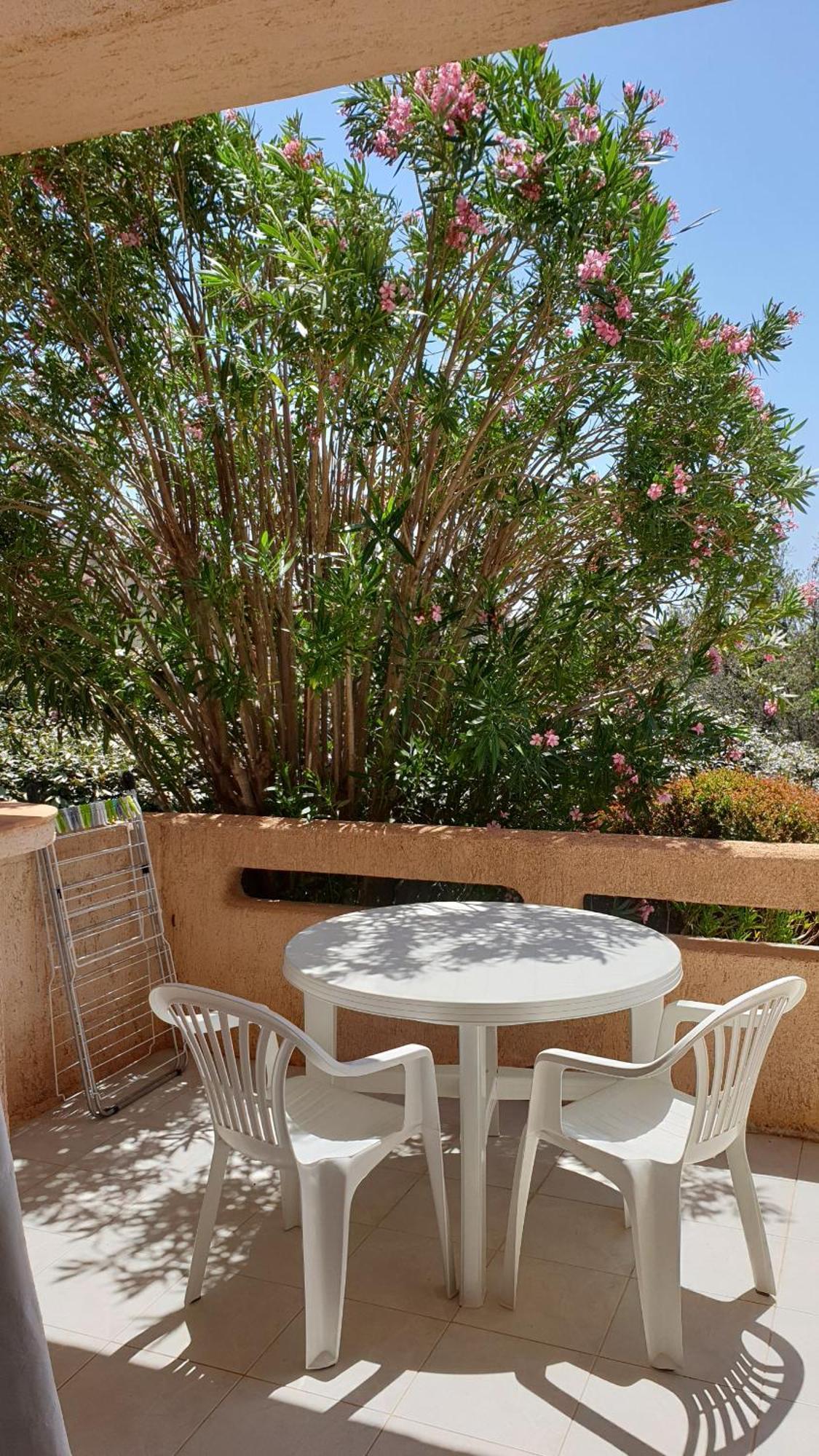 Résidence Liccia di Furu Porto Vecchio Habitación foto